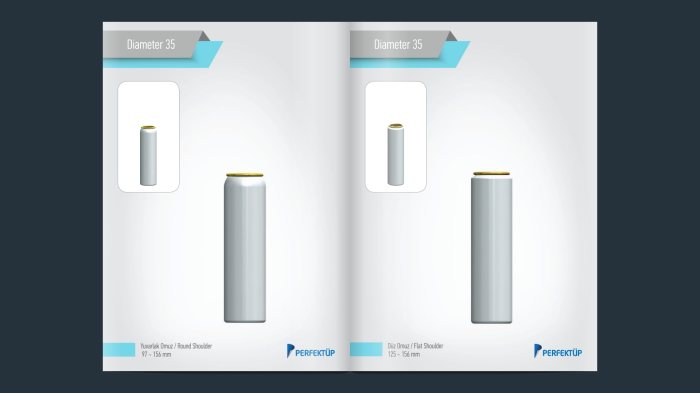 Standard Aluminium Aerosol Cans