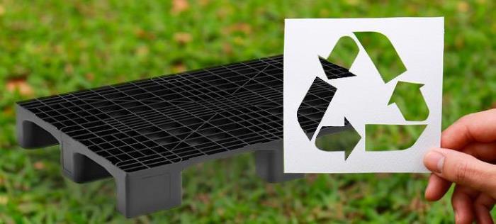 Why Are Companies Switching to Plastic Pallets?