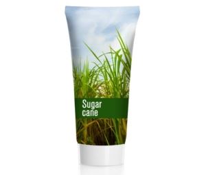 Sugar Cane Take Out Containers – Greenpacks USA