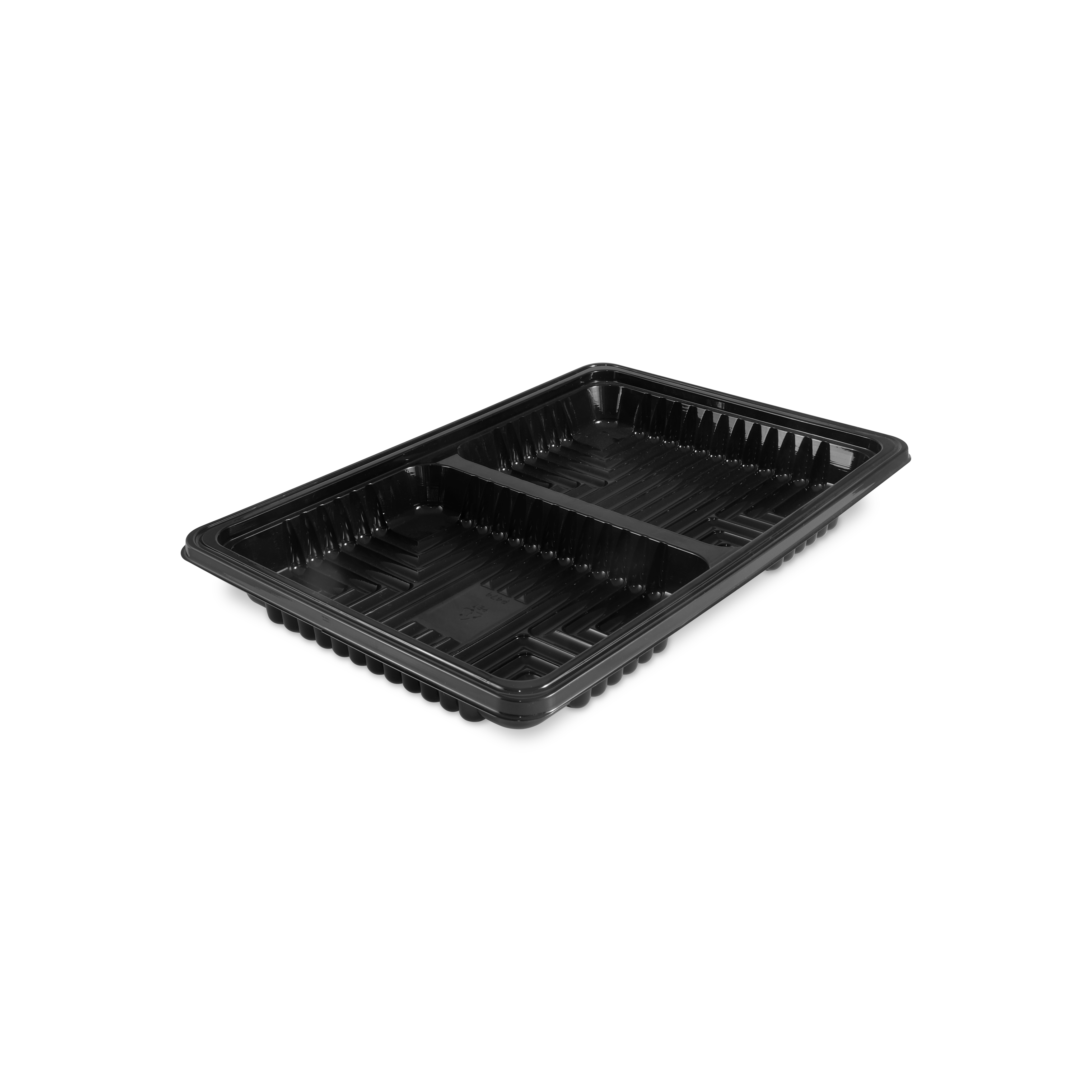 Rectangular Tray - Large 2 Cavity