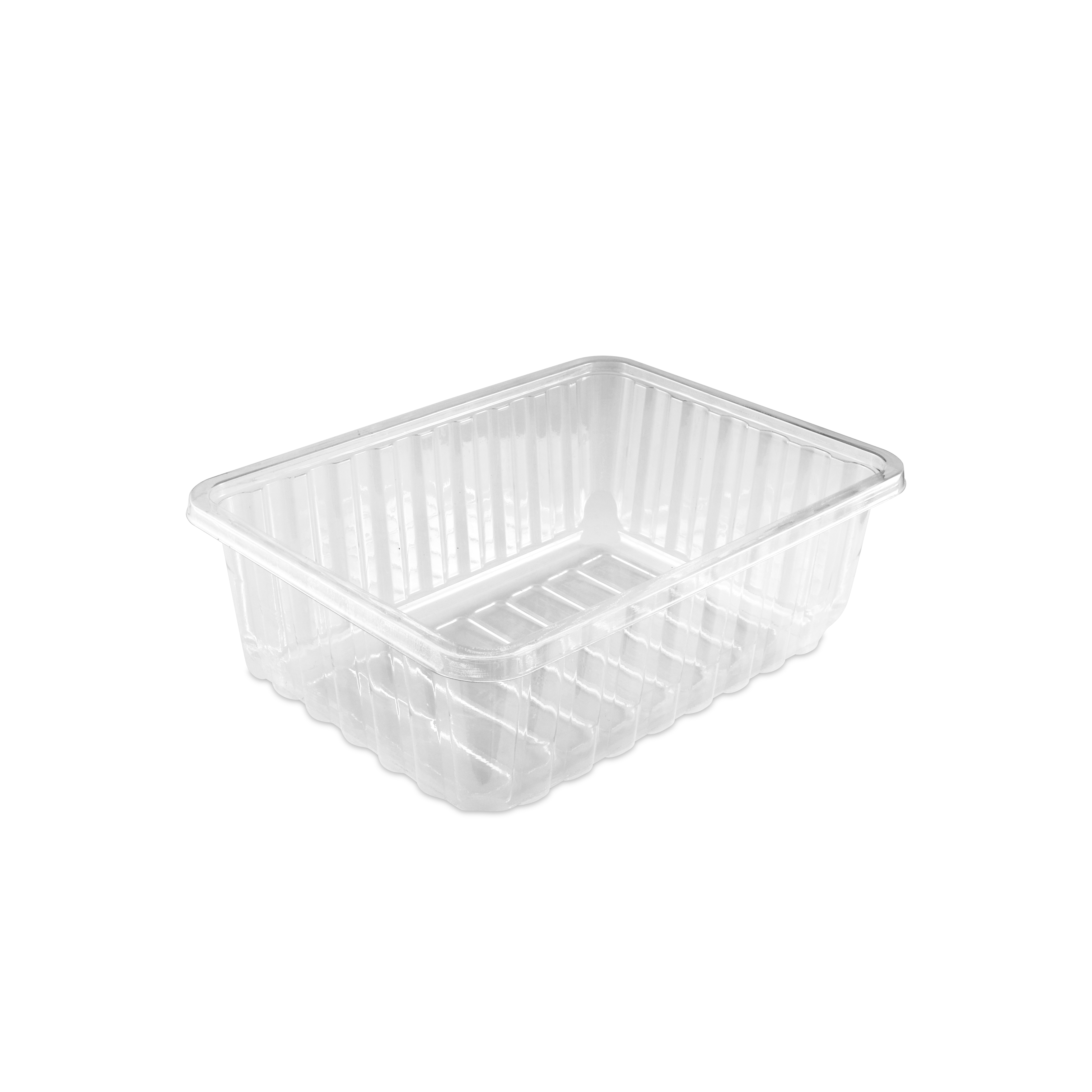 Rectangular Tray - Medium