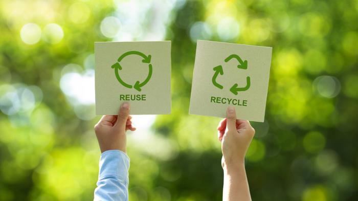 Recyclable vs. Reusable Packaging: Which is Better for Skincare Products?