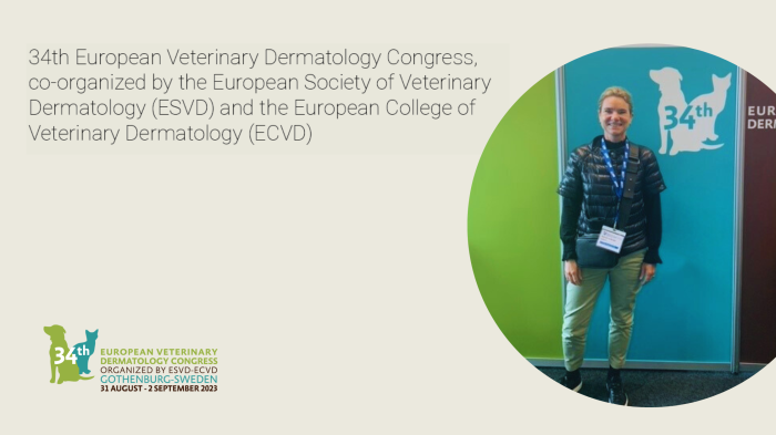 Unveiling the Future of Vet Dermatology Packaging: Insights from ECVD 2023