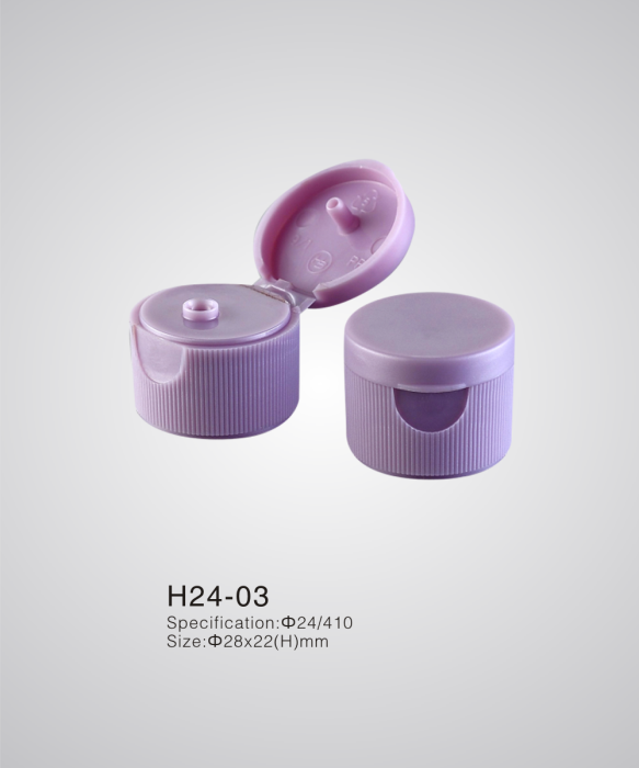 H24-03