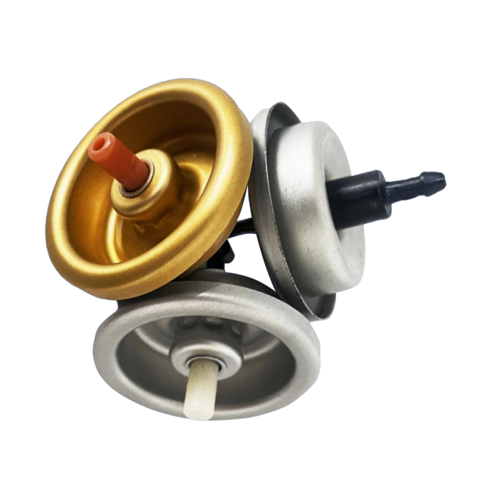 M Valve