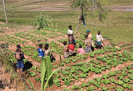 New projects for rural and socio-cultural development in Madagascar