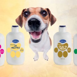 
                                            
                                        
                                        Tewua keeps pets clean and happy with help from Giflor's 855 cap